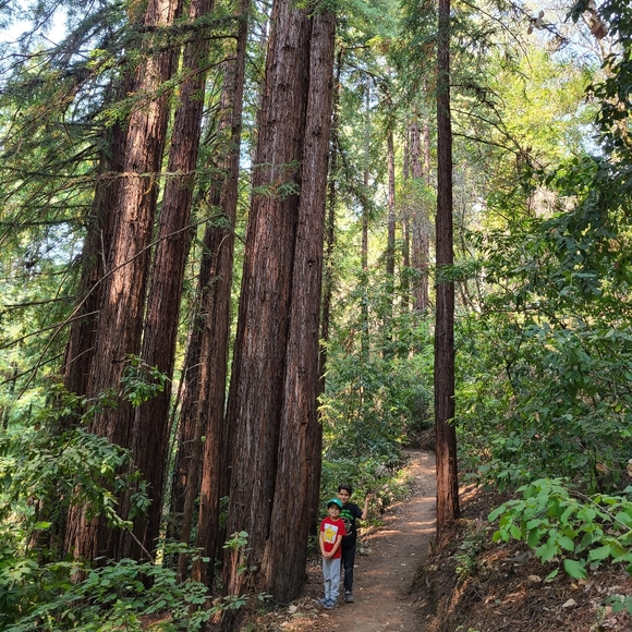 Meet your Posher, Stephanie - Picture 1 of 11